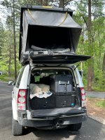 IMG_4226.jpeg IMG_4226.jpeg