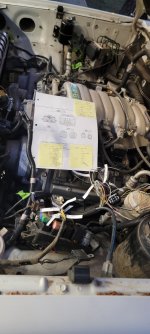 20240411_191331.jpg 20240411_191331.jpg