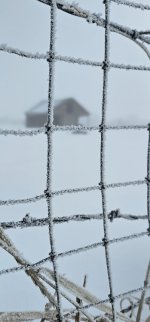 20240306_092716_copy_349x747.jpg 20240306_092716_copy_349x747.jpg