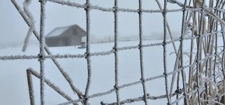 20240306_092724_copy_1600x747.jpg 20240306_092724_copy_1600x747.jpg