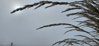 20240306_092442_copy_1600x747.jpg 20240306_092442_copy_1600x747.jpg