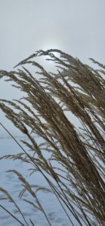 20240306_092433_copy_349x747.jpg 20240306_092433_copy_349x747.jpg