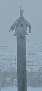 20240306_083013_copy_349x747.jpg 20240306_083013_copy_349x747.jpg