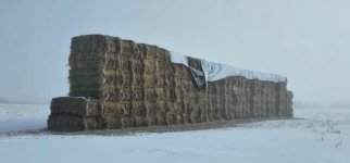 20240306_095623_copy_1600x747.jpg 20240306_095623_copy_1600x747.jpg