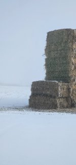 20240306_095604_copy_349x747.jpg 20240306_095604_copy_349x747.jpg