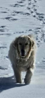 20240306_101234_copy_349x747.jpg 20240306_101234_copy_349x747.jpg