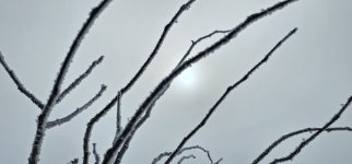 20240306_092652_copy_1600x747.jpg 20240306_092652_copy_1600x747.jpg