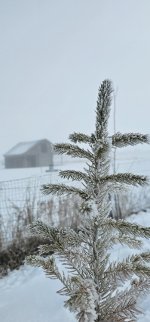 20240306_092625_copy_349x747.jpg 20240306_092625_copy_349x747.jpg