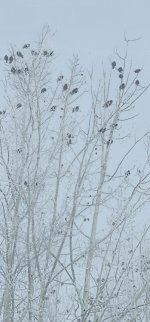 20240306_095147_copy_349x747.jpg 20240306_095147_copy_349x747.jpg