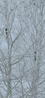 20240306_095335_copy_349x747.jpg 20240306_095335_copy_349x747.jpg