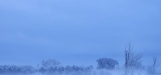 20240331_070440_copy_1600x747.jpg 20240331_070440_copy_1600x747.jpg