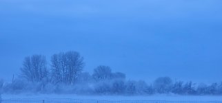 Screenshot_20240331_070538_Gallery_copy_1600x747.jpg Screenshot_20240331_070538_Gallery_copy_1600x747.jpg