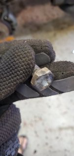 20240417_115433.jpg 20240417_115433.jpg