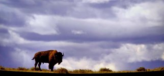 20240412_130144_copy_1600x747.jpg 20240412_130144_copy_1600x747.jpg