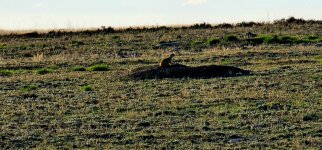 20240412_185851_copy_1600x747.jpg 20240412_185851_copy_1600x747.jpg