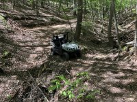 IMG_9874.JPG IMG_9874.JPG