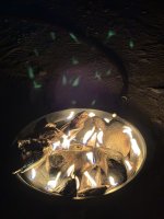 IMG_0561.JPEG IMG_0561.JPEG