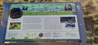 20240413_072100_copy_1600x747.jpg 20240413_072100_copy_1600x747.jpg