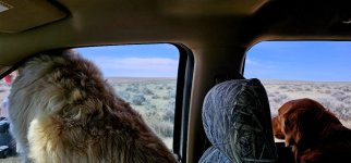 20240413_104448_copy_1200x560.jpg 20240413_104448_copy_1200x560.jpg