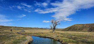 20240413_110201_copy_1200x560.jpg 20240413_110201_copy_1200x560.jpg