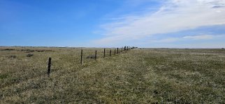 20240413_102142_copy_1200x560.jpg 20240413_102142_copy_1200x560.jpg