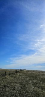 20240413_102149_copy_1200x2570.jpg 20240413_102149_copy_1200x2570.jpg