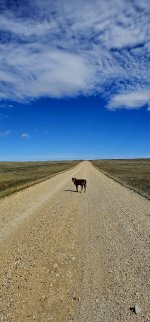 20240413_110859_copy_1200x2570.jpg 20240413_110859_copy_1200x2570.jpg