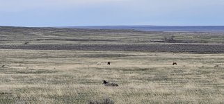 20240415_103949_copy_1200x560.jpg 20240415_103949_copy_1200x560.jpg