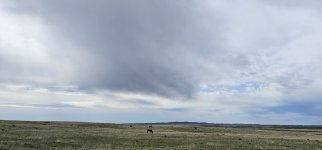 20240415_103903_copy_1200x560.jpg 20240415_103903_copy_1200x560.jpg