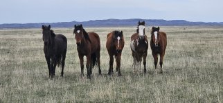 20240415_104359_copy_1200x560.jpg 20240415_104359_copy_1200x560.jpg