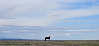 20240415_104411_copy_1200x560.jpg 20240415_104411_copy_1200x560.jpg