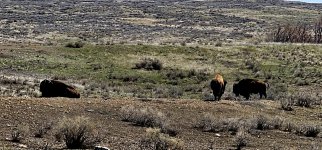 20240413_122420_copy_1200x560.jpg 20240413_122420_copy_1200x560.jpg