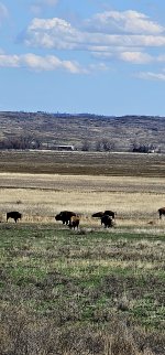 20240413_161257_copy_1200x2570.jpg 20240413_161257_copy_1200x2570.jpg