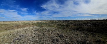 20240413_160848_copy_1200x504.jpg 20240413_160848_copy_1200x504.jpg