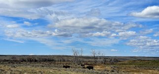 20240413_124302_copy_1200x560.jpg 20240413_124302_copy_1200x560.jpg