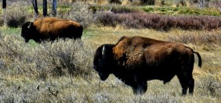 20240413_124347_copy_1200x560.jpg 20240413_124347_copy_1200x560.jpg