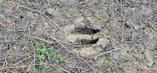 20240414_191626_copy_1600x747.jpg 20240414_191626_copy_1600x747.jpg