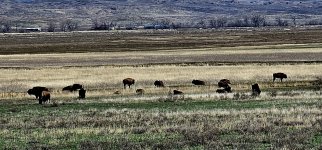 20240413_161308_copy_1200x560.jpg 20240413_161308_copy_1200x560.jpg