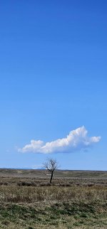 20240414_132613_copy_1200x2570.jpg 20240414_132613_copy_1200x2570.jpg