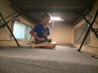 levi in top.jpg levi in top.jpg