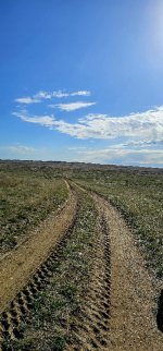 20240414_093206_copy_349x747.jpg 20240414_093206_copy_349x747.jpg