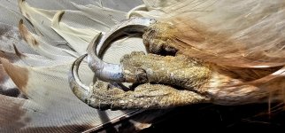 20240414_102443_copy_1600x747.jpg 20240414_102443_copy_1600x747.jpg