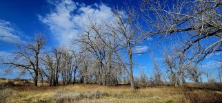 20240414_084807_copy_1600x747.jpg 20240414_084807_copy_1600x747.jpg