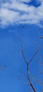 20240414_085014_copy_349x747.jpg 20240414_085014_copy_349x747.jpg