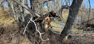 20240414_103330_copy_1600x747.jpg 20240414_103330_copy_1600x747.jpg