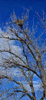 20240414_084704_copy_349x747.jpg 20240414_084704_copy_349x747.jpg