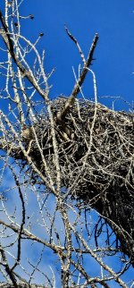 20240414_084725_copy_349x747.jpg 20240414_084725_copy_349x747.jpg