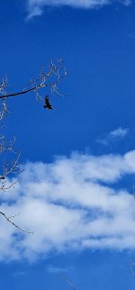 20240414_085017_copy_349x747.jpg 20240414_085017_copy_349x747.jpg