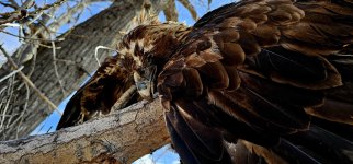 20240414_103410_copy_1600x747.jpg 20240414_103410_copy_1600x747.jpg