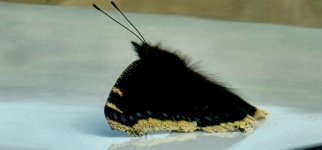 20240414_110819_copy_1600x747.jpg 20240414_110819_copy_1600x747.jpg